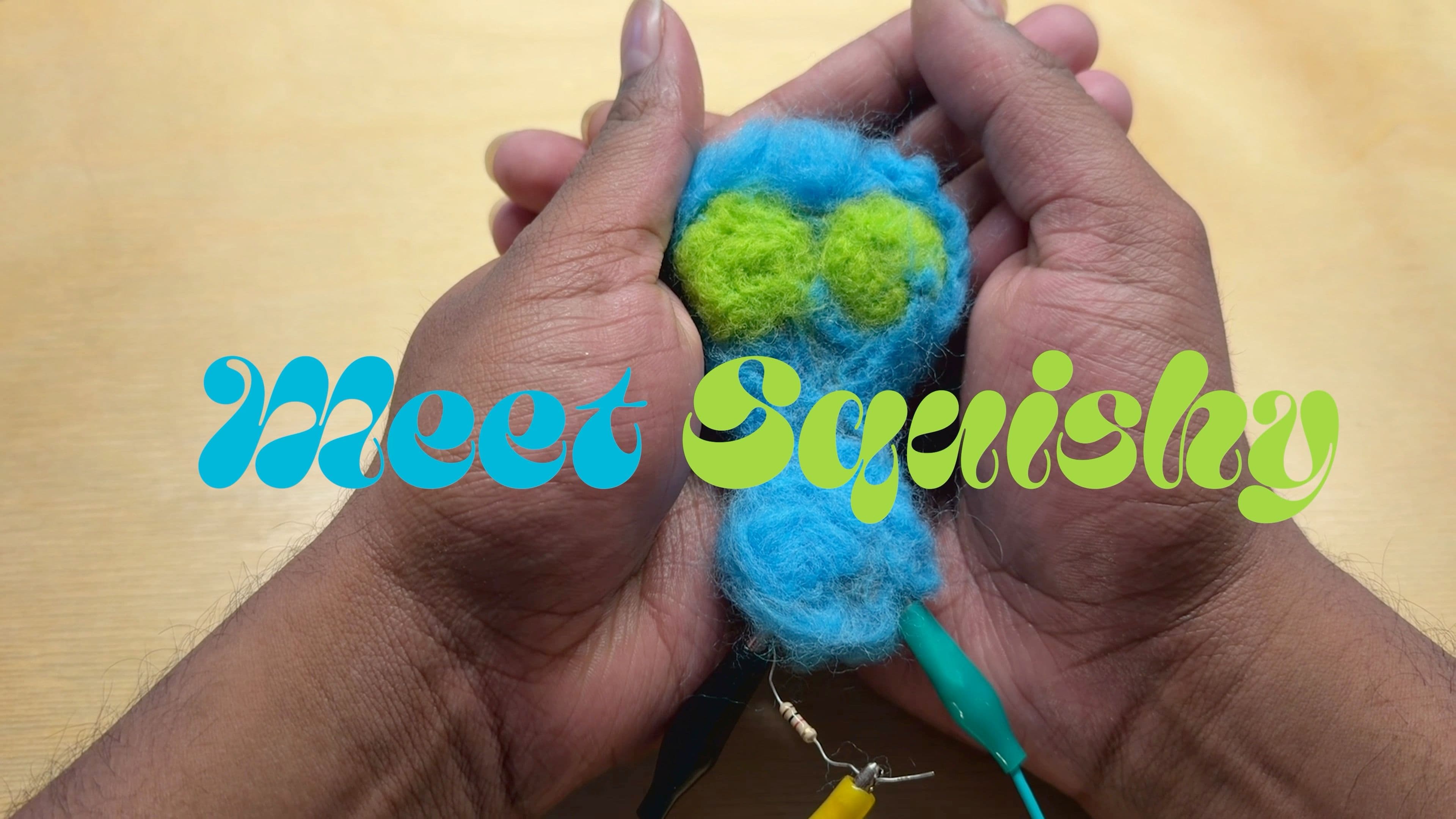 Cover image for Squishy